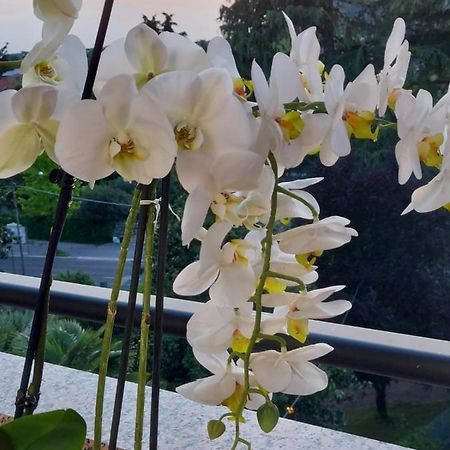 Alloggio Orchidea Monfalcone Eksteriør bilde